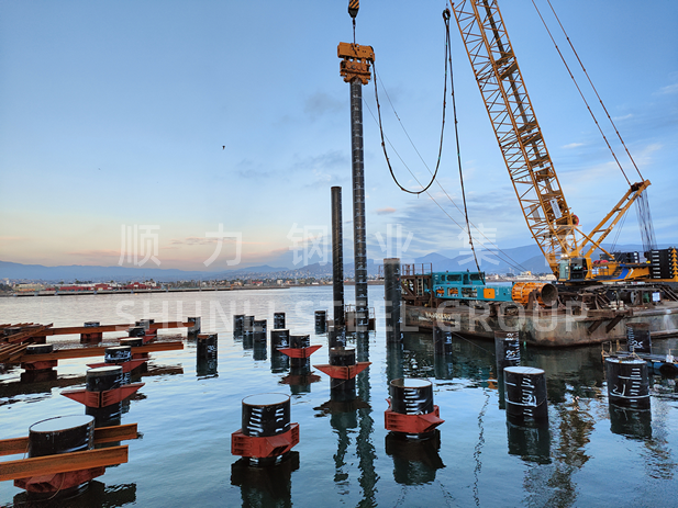 Shunli contribue à stimuler les progrès réguliers du projet terminal polyvalent de Hong Kong, China Merchants Port Holdings à Ensenada, au Mexique.
